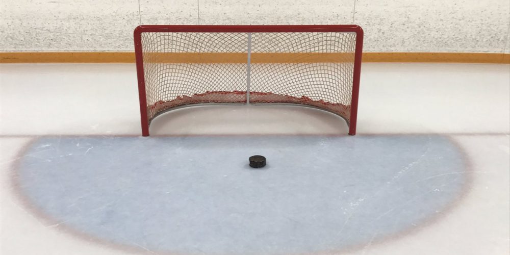Blind Hockey net and Puck